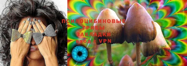спиды Нефтегорск