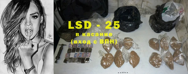 сатива Нефтекумск