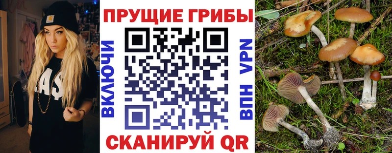 Псилоцибиновые грибы MAGIC MUSHROOMS  наркотики  Рыльск 